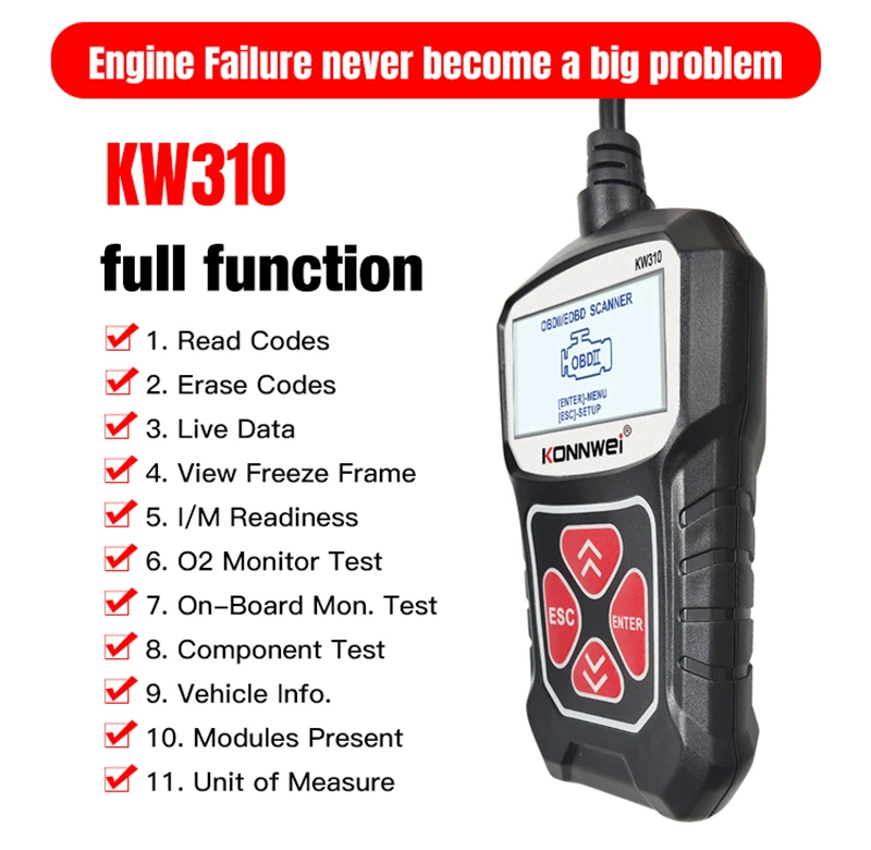 KW310_05.jpg