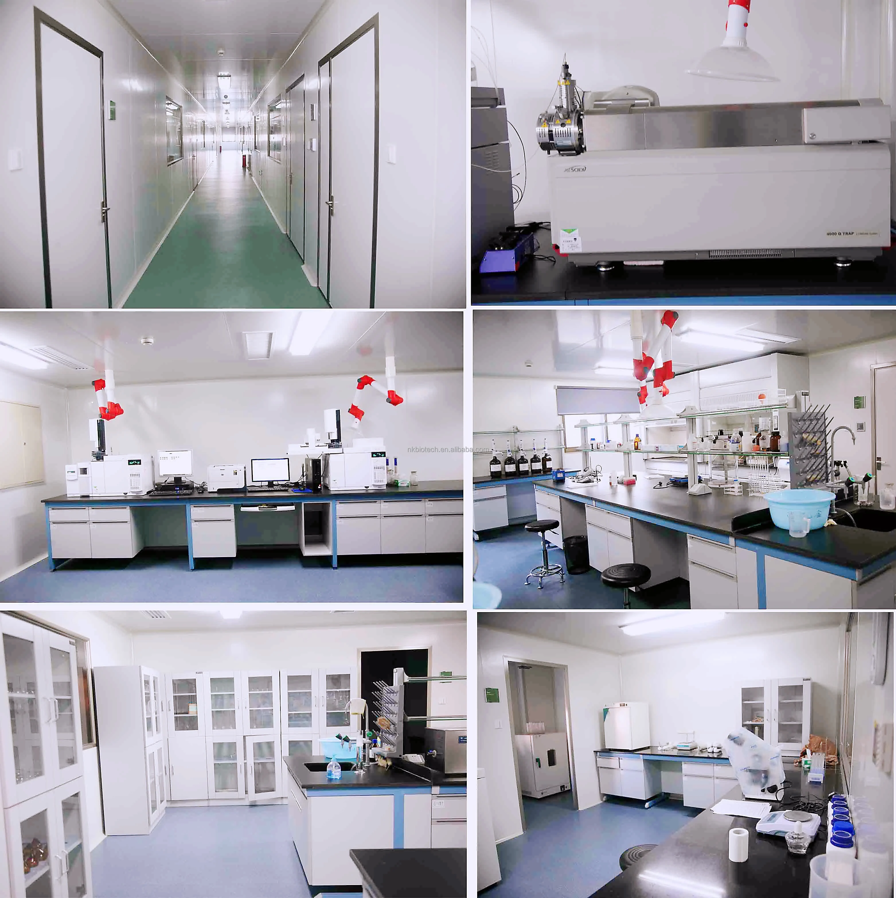 Our Lab