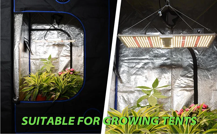 Shenzhen 2021 best commercial led grow light dimmable lights full spectrum uv indoor hydroponic lm301h led grow light