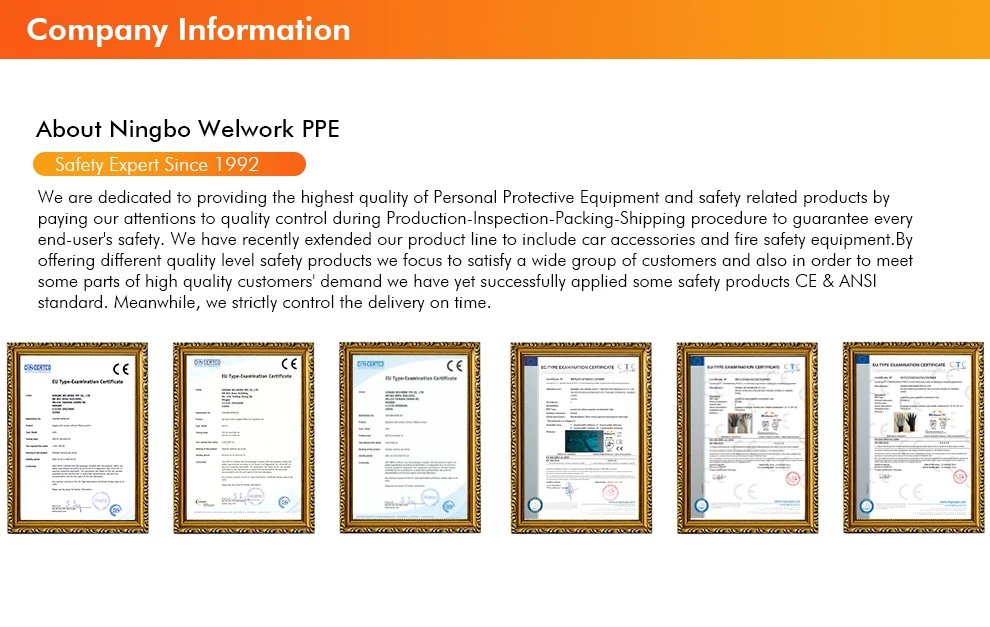 Company Information+.jpg