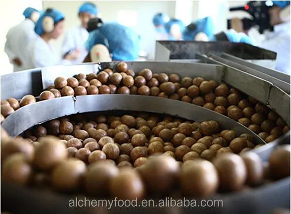 Китайский Юньнань ядра ореха макадамии deshell в оболочке цена покупателя