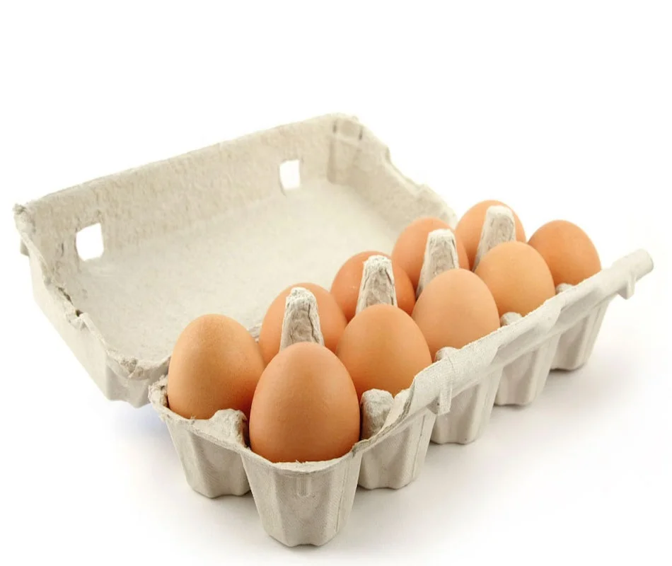 Brown Chicken Eggs 1.jpeg