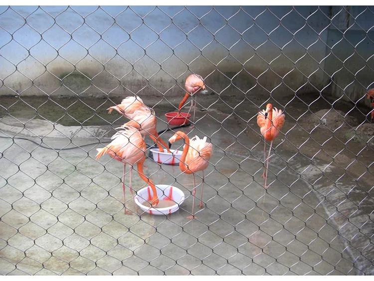 Поставка проволочной сетки для попугаев от производителя Hebei Longen, стальная веревка, сетка, защитная сетка, плетеная защита, обычное плетение, настраиваемый CN;HEB