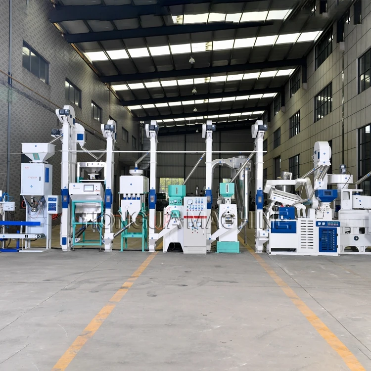 25T rice processing plant