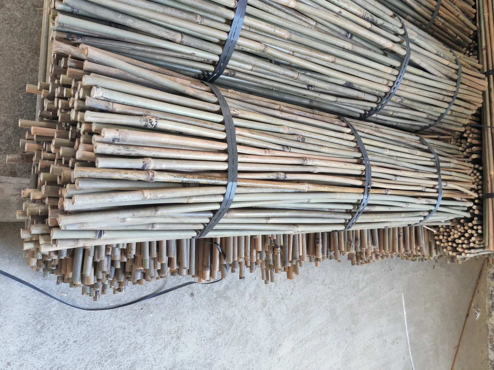 Бамбуковые палочки по лучшей цене широко используются для посадки или поддержки винограда