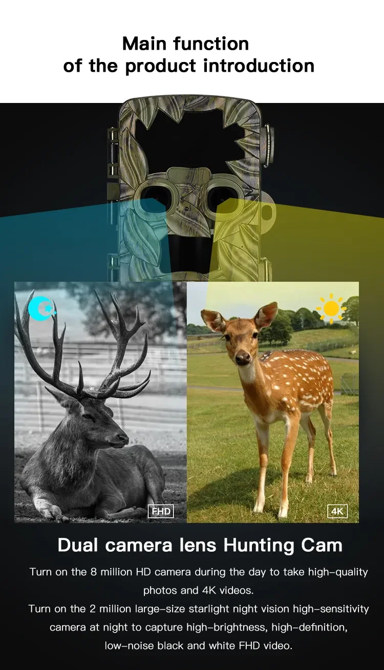 2 (3).png