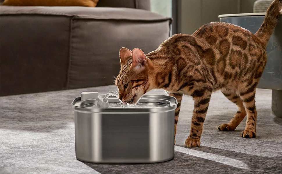 Cat Water Fountain