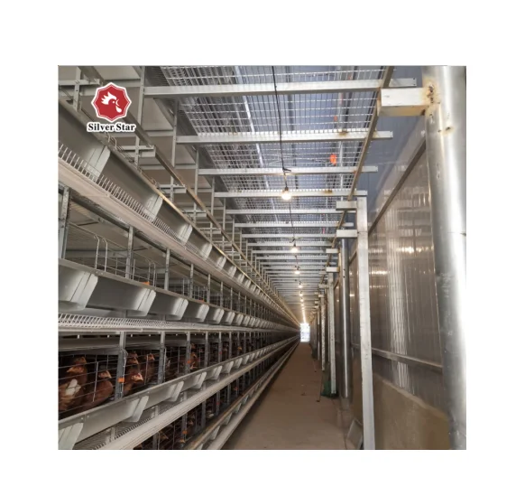 Poultry breeding chicken breeding material broiler cages for broiler chicken