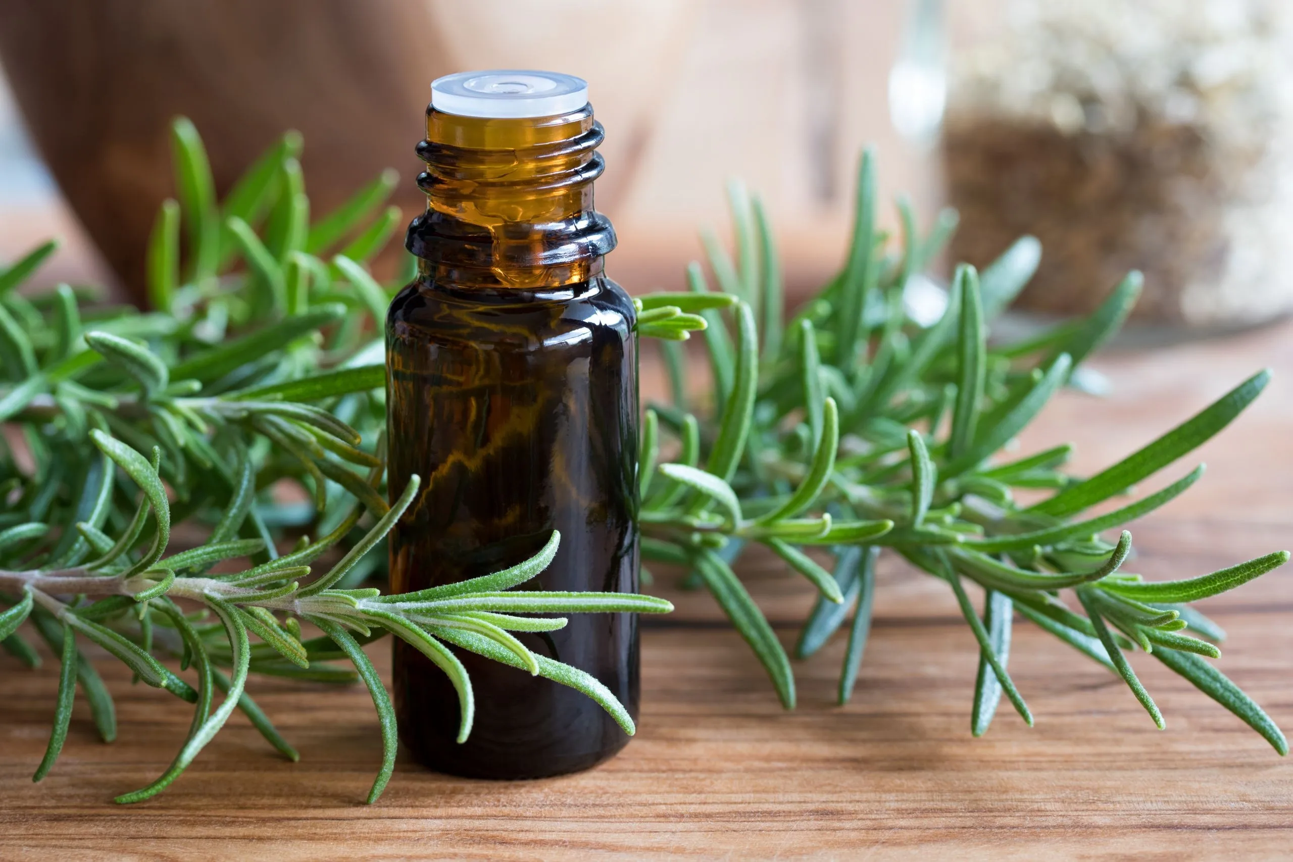 Rosemary-Extract
