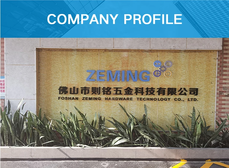 company profile 
