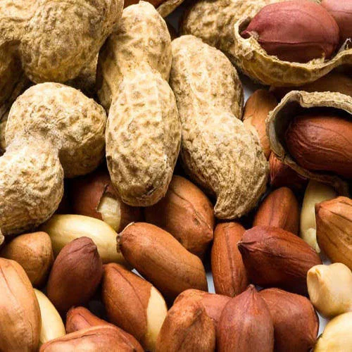 peanut (2).png