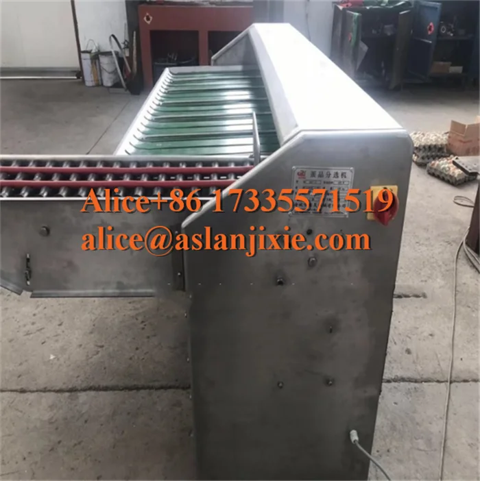 egg grading machine27.png