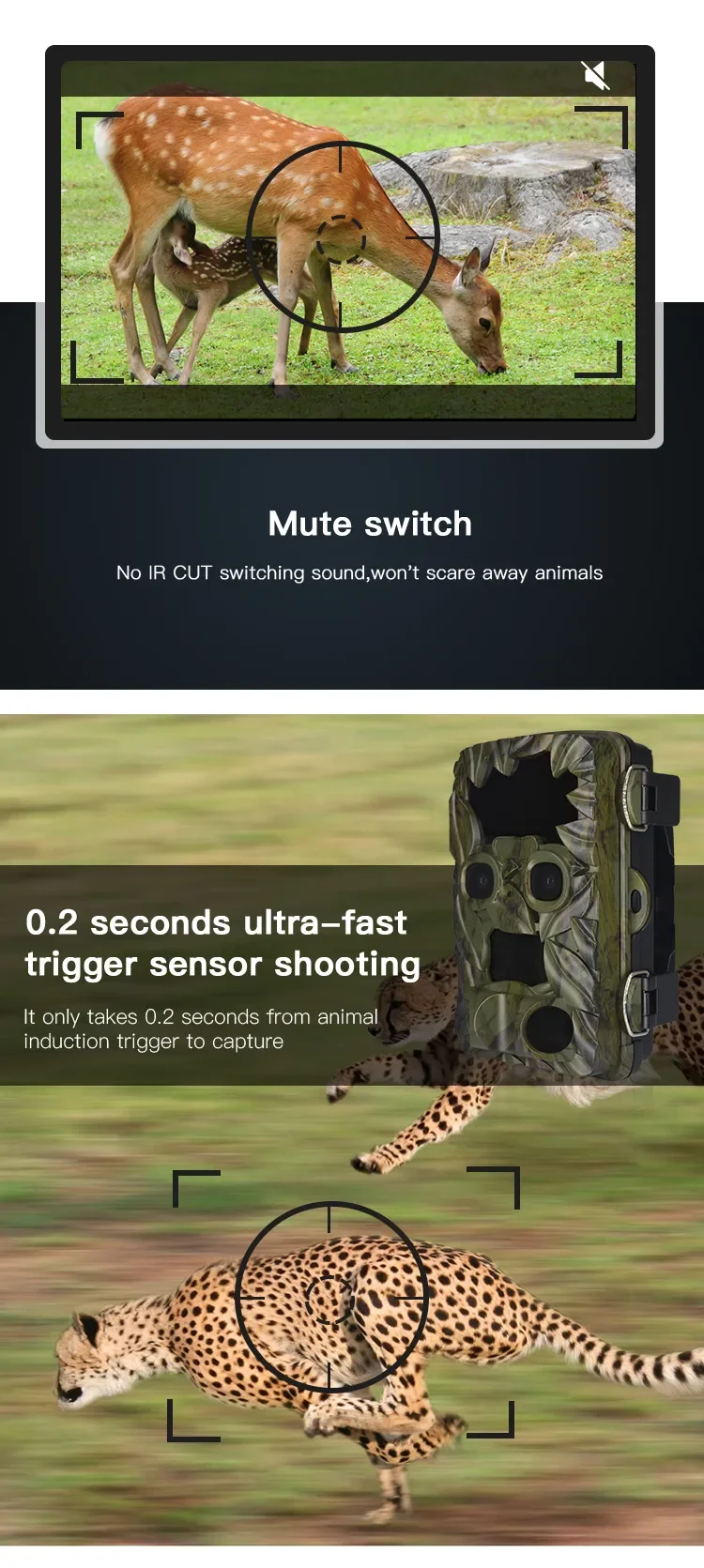 2 (4).png