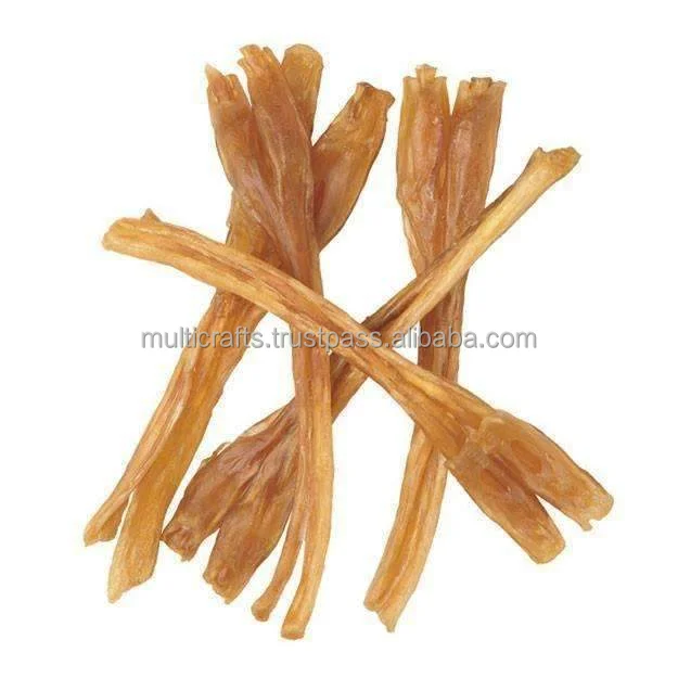 Tendon (4).png