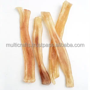 Tendon (2).png