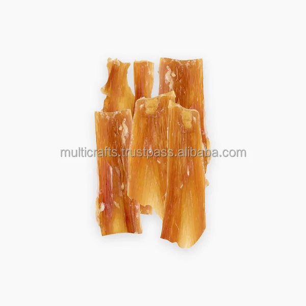 Tendon (1).png