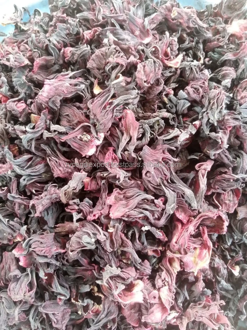 hibiscus (13).jpeg