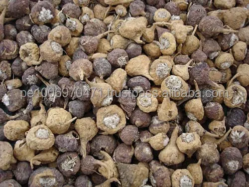 Maca root.jpeg