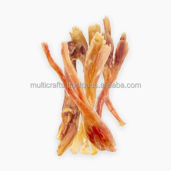 Tendon (3).jpg