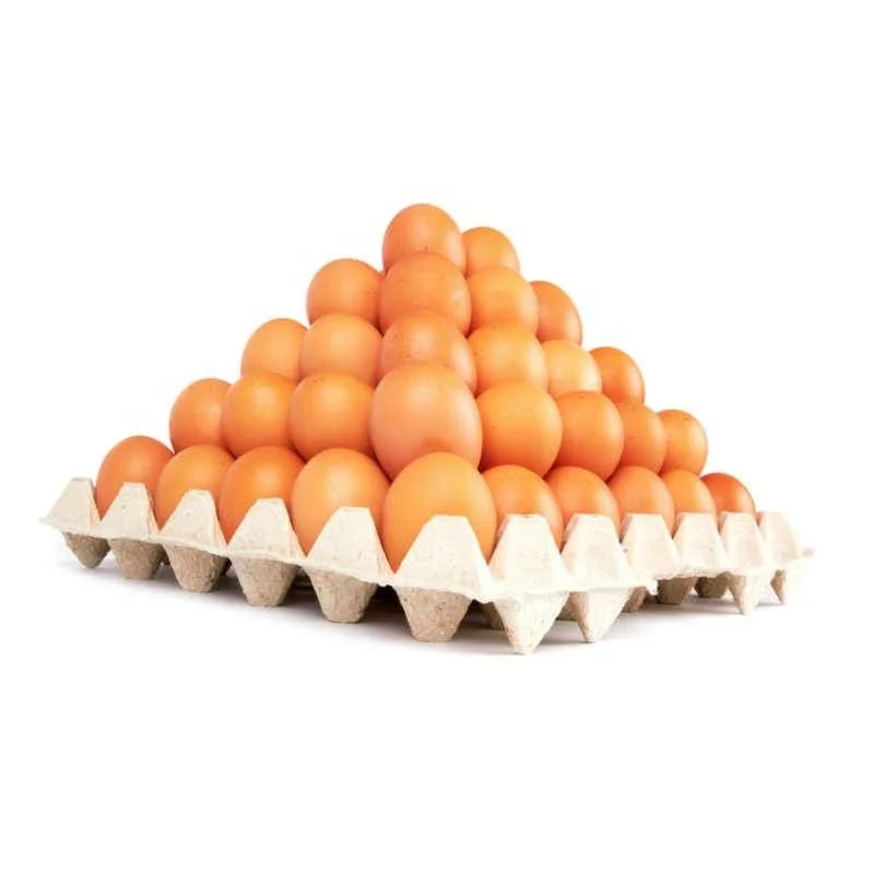 brown eggs 2.jpeg