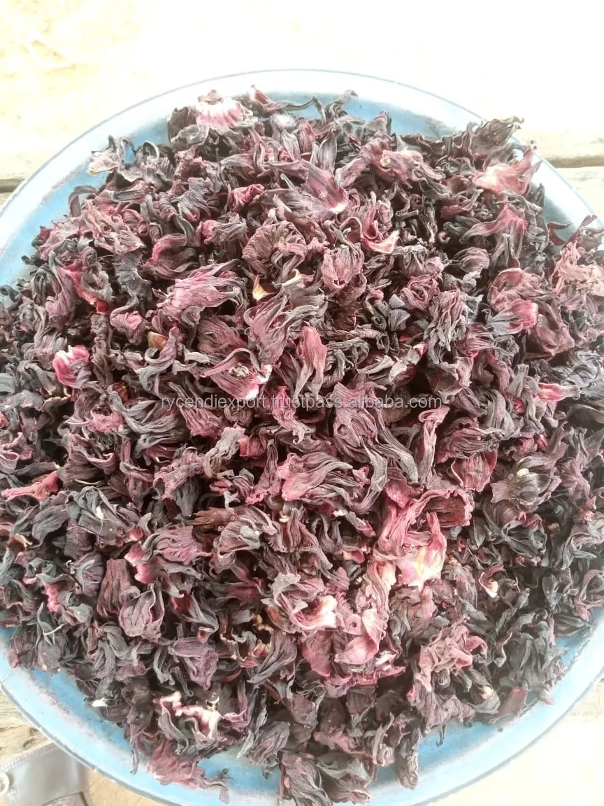 hibiscus (5).jpeg
