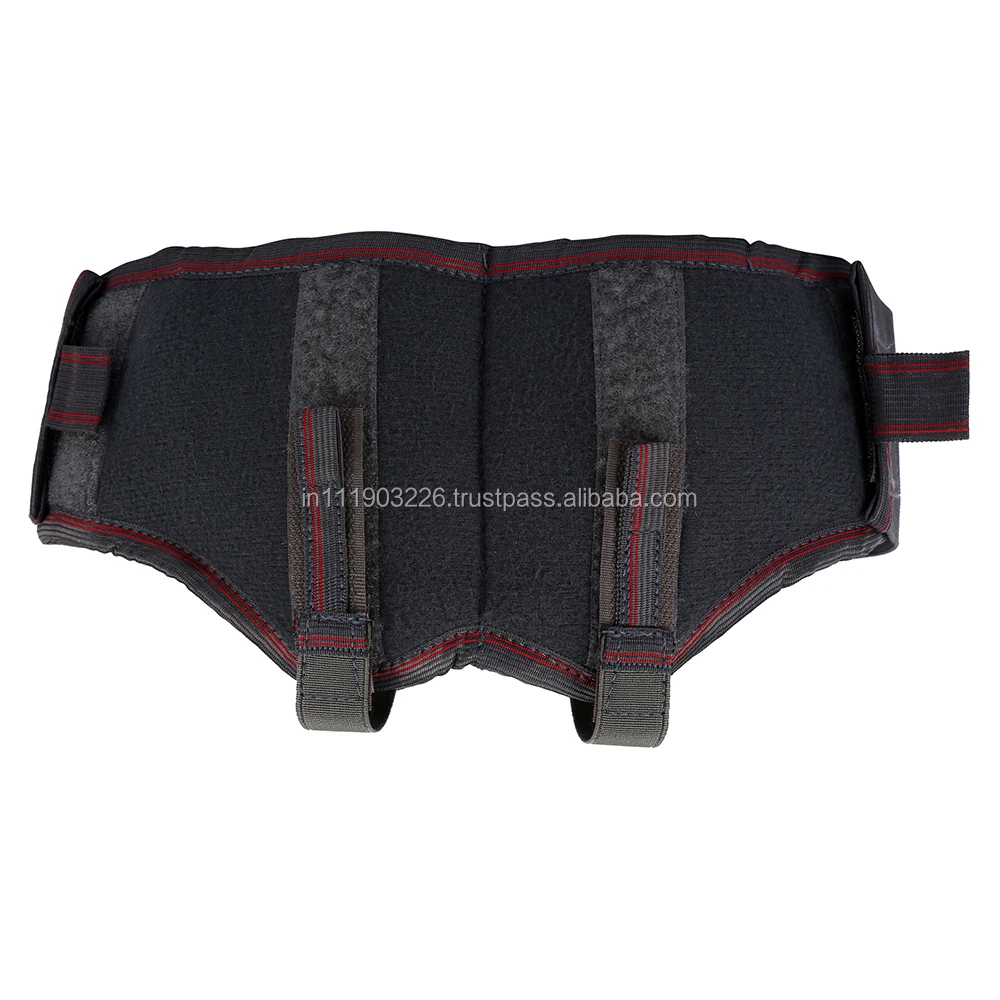 hearnia_belt4