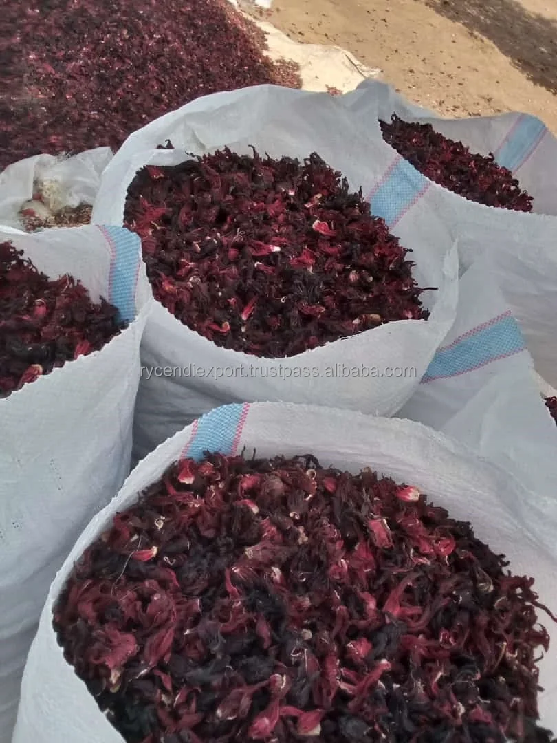 hibiscus (11).jpeg