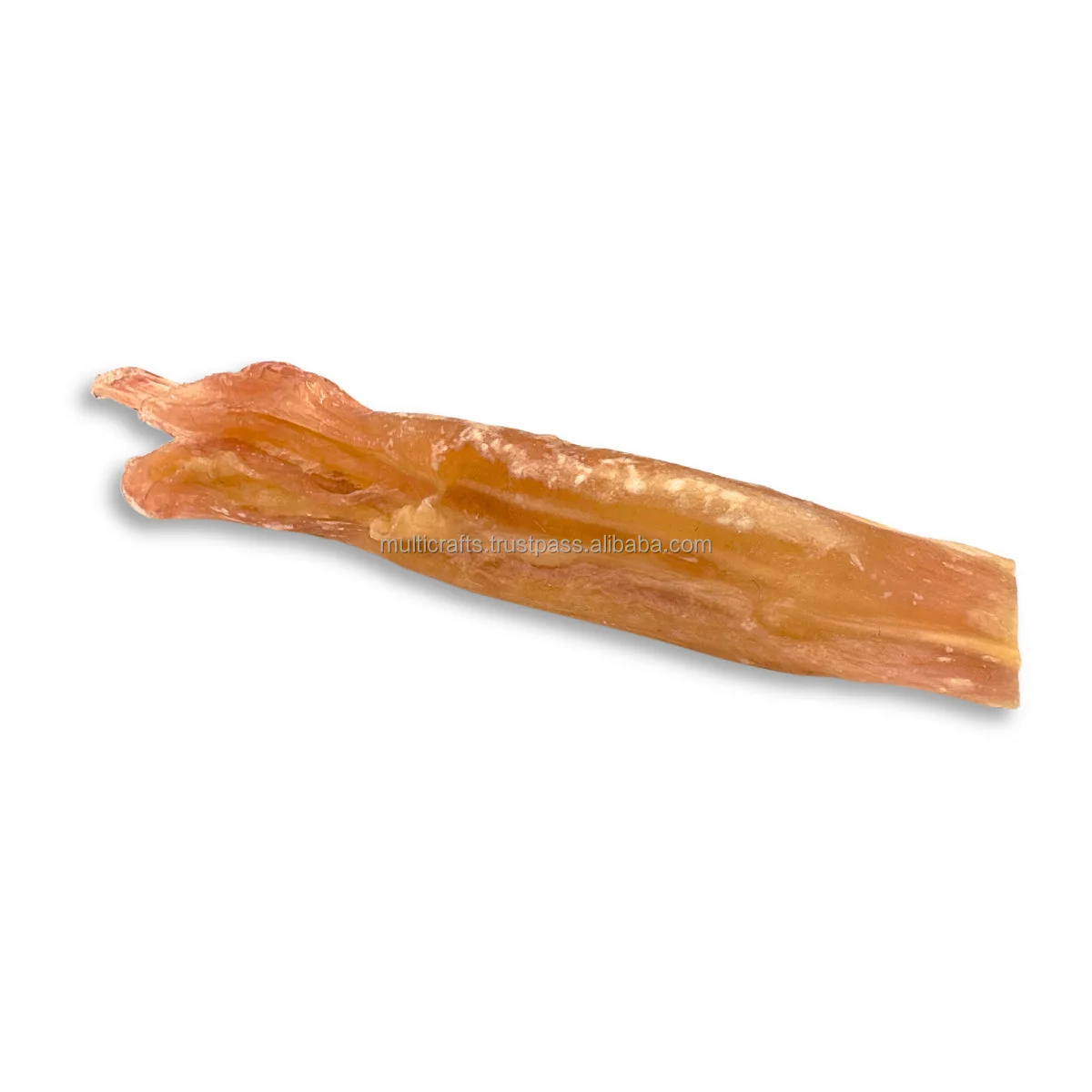 Tendon (6).png