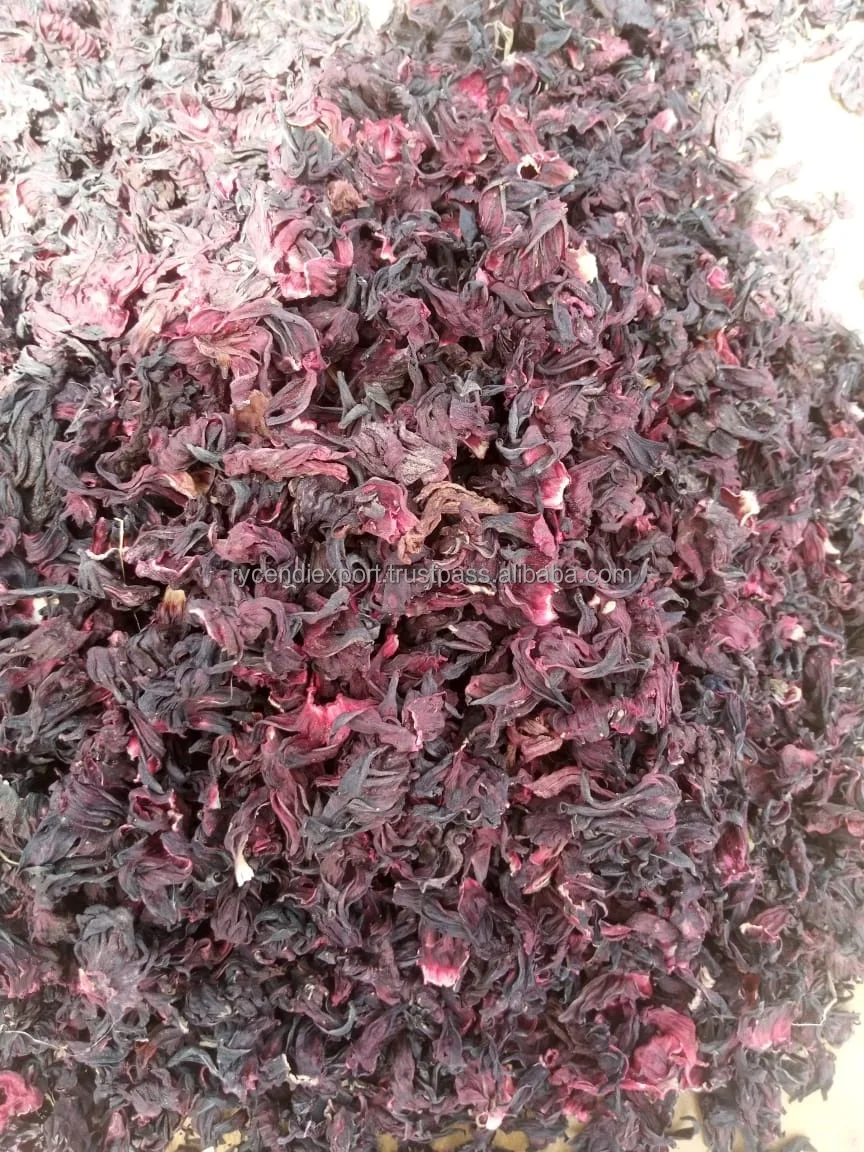 hibiscus (2).jpeg