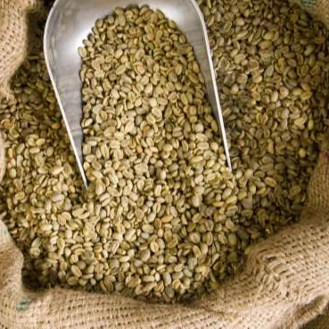Высокое качество зеленых кофейных зерен