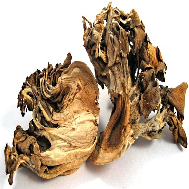Dried Mushrooms.jpg