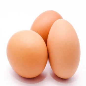 
Бройлерные инкубационные яйца Cobb 500 и Ross 308/Куриные кроссы/куриные яйца бройлера на продажу CIF 