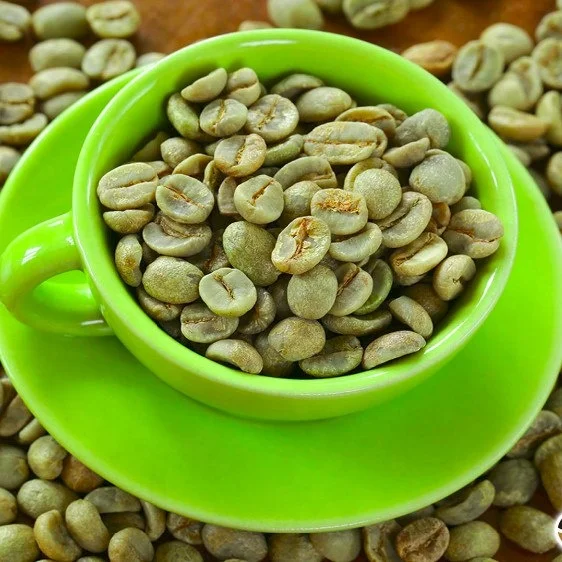
 Заводской поставщик, зеленые кофейные зерна Robusta по оптовой цене  