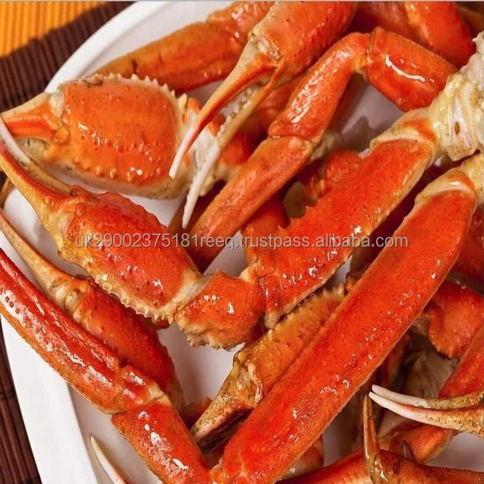 crab6.jpg