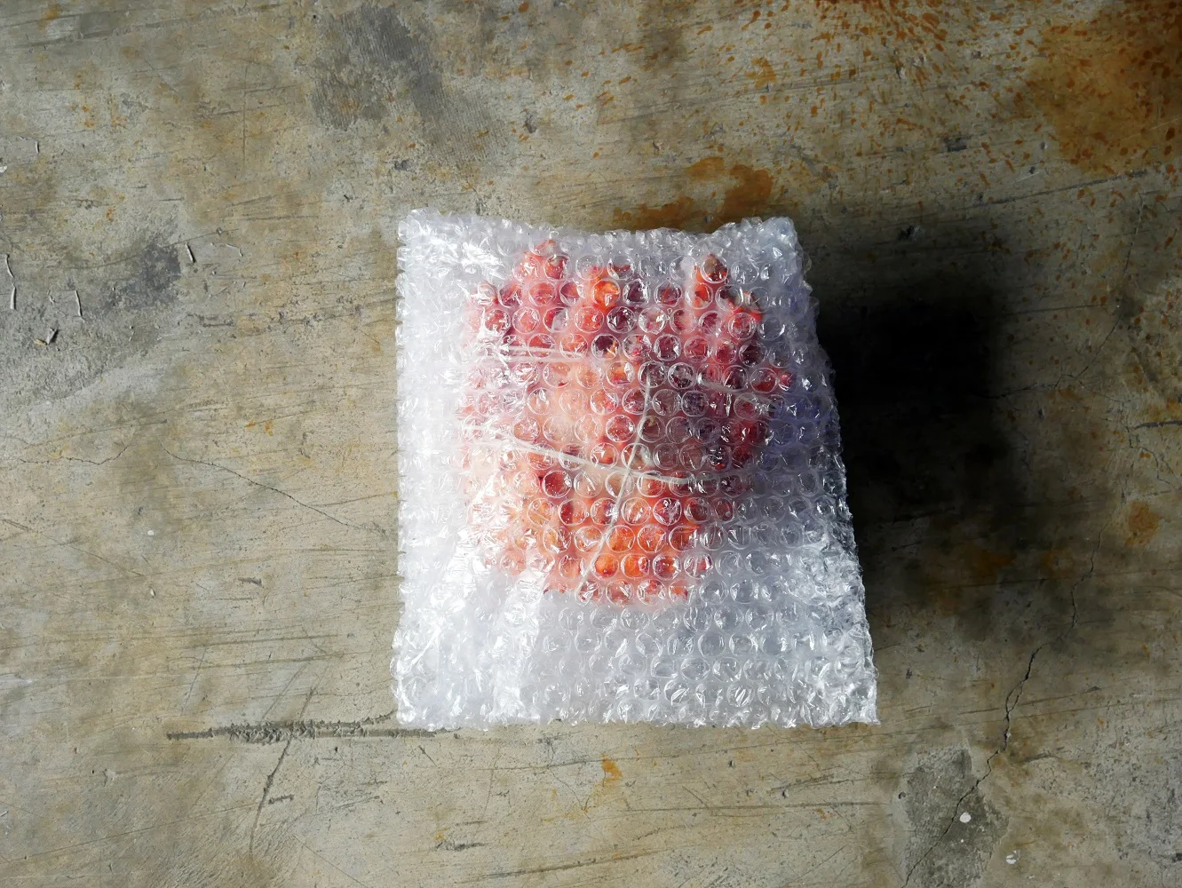 CHILEAN KING CRAB WHOLE 3.jpg
