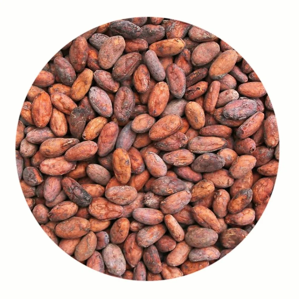 
 Органические какао наконечники Criollo  