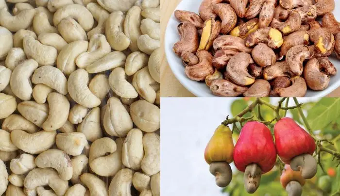 Оптовая продажа 100% натуральные недобавочные необработанные орехи кешью здоровые для еды и напитков по конкурентоспособной