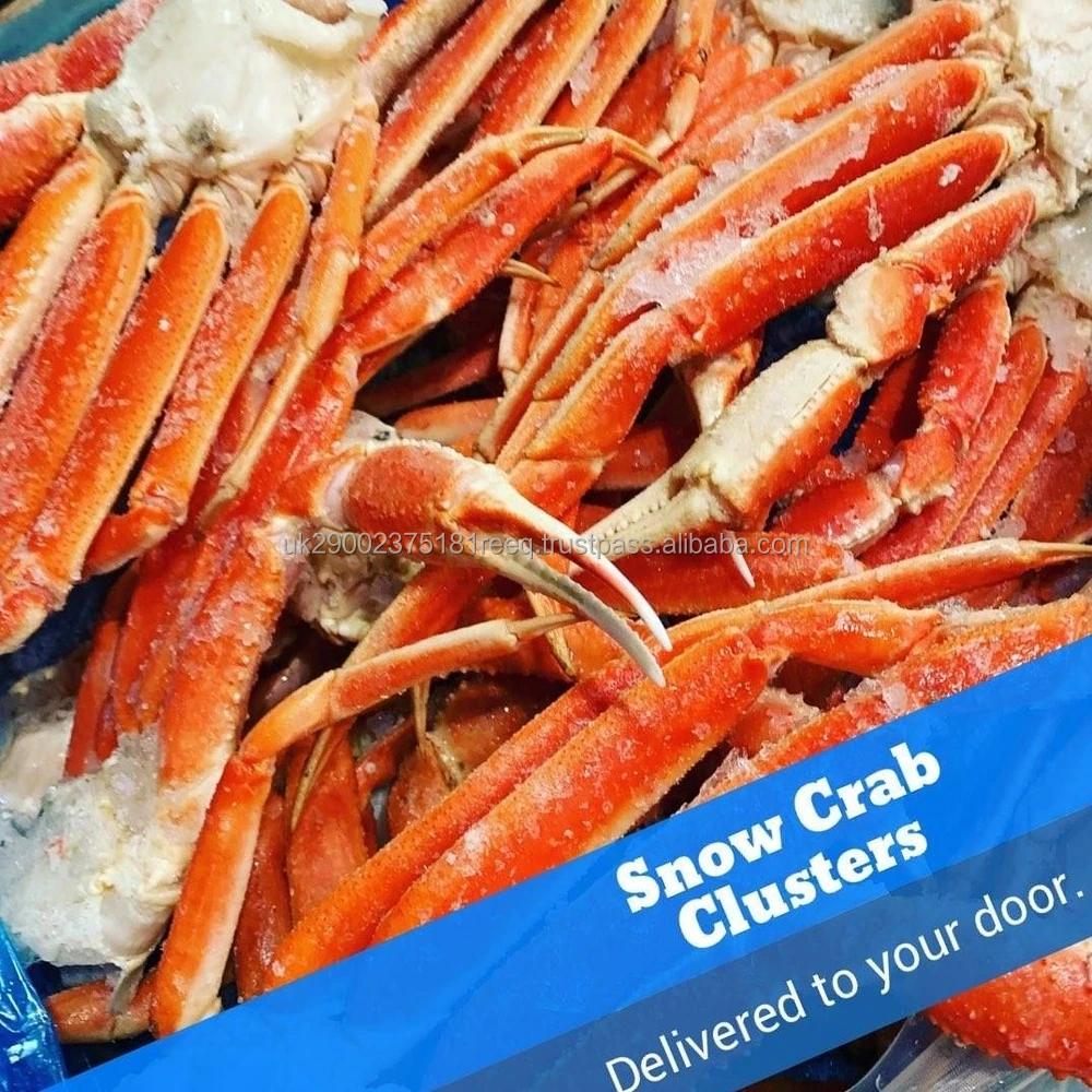 crab5.jpg