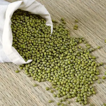 Hot sale green mung beans