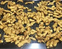 ginger.jpg