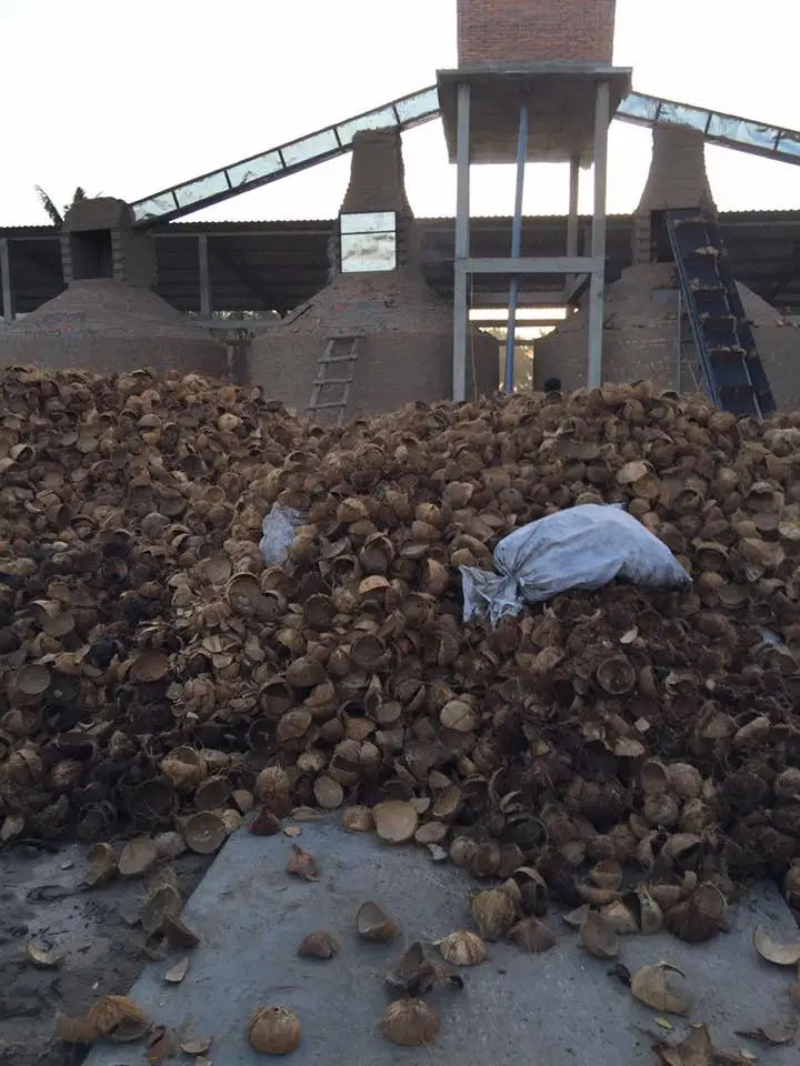 100% сырые кокосовые скорлупы по лучшей цене для приготовления древесного угля