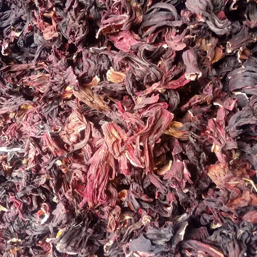 hibiscus 7.jpg