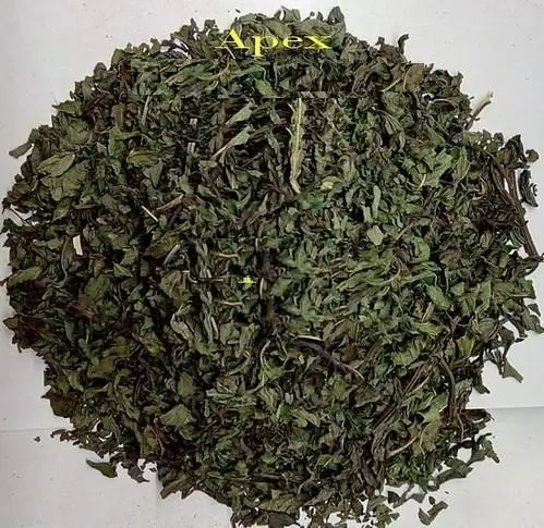 pm-02.jpg