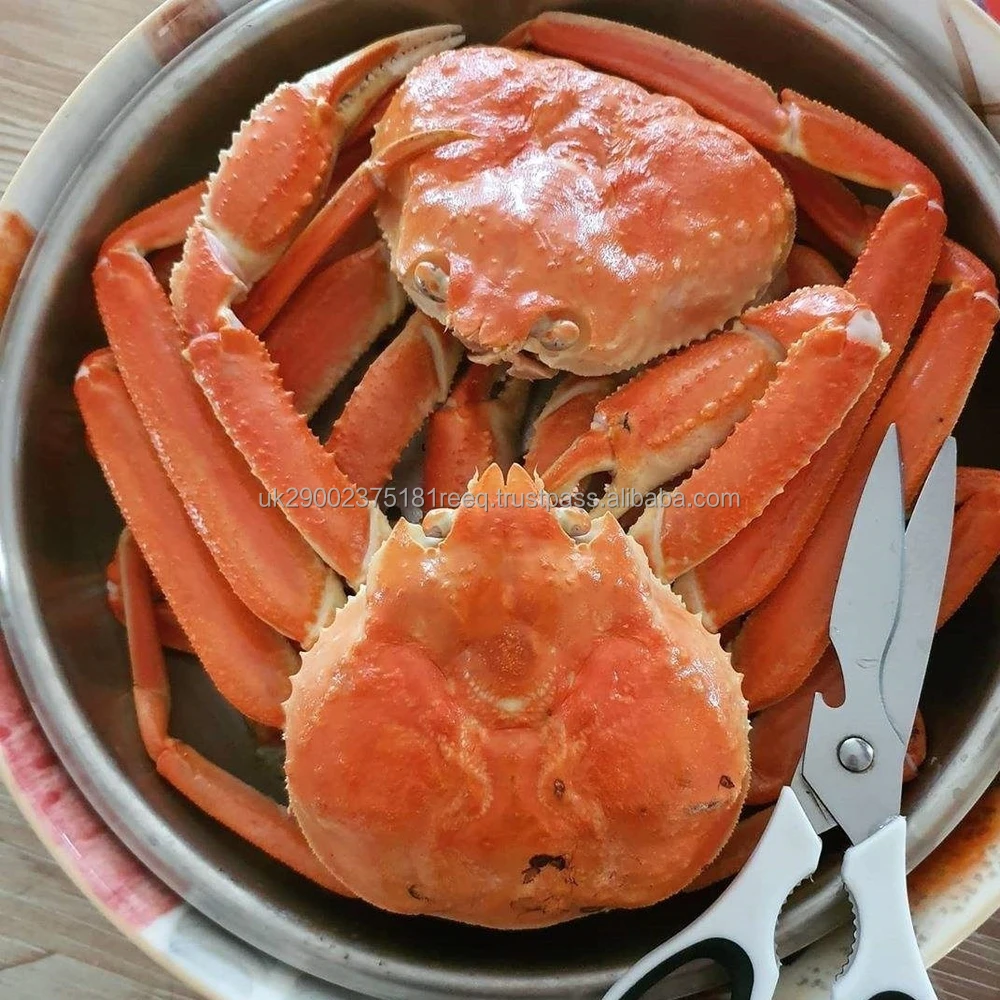 crab.jpg