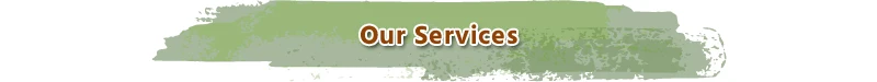 Services-t.jpg