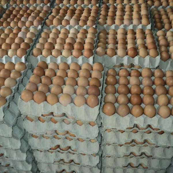 Настольные куриные яйца, лучшее качество, свежие коричневые белые яйца для фермы