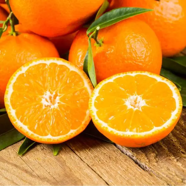 fresh orange 19.jpg