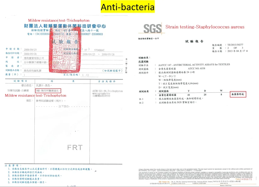 paste-pic-dp_uuid_r10bt