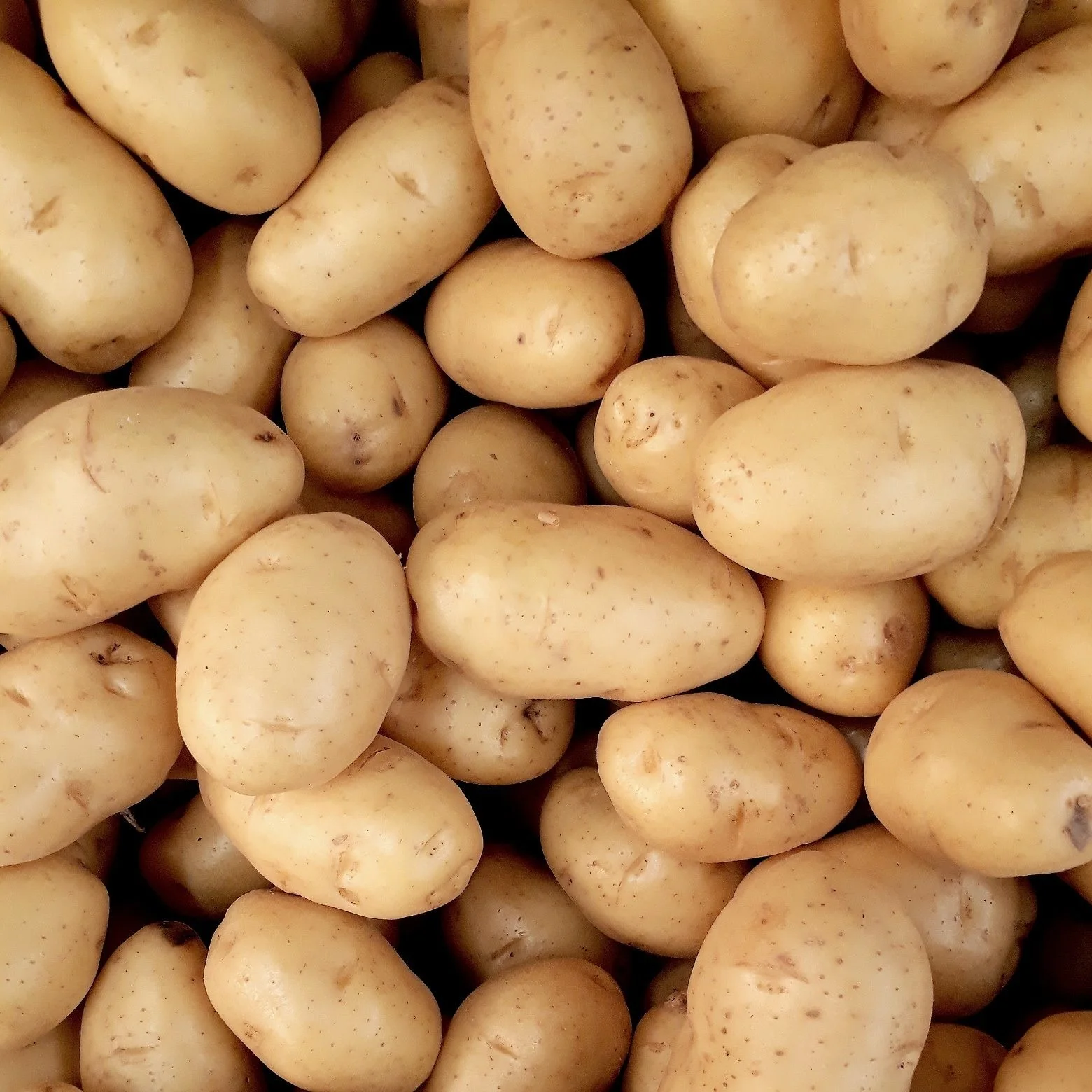 Недорогой 100% органический свежий картофель, гранильный картофель желтого цвета, картофель, овощи из бангладеш