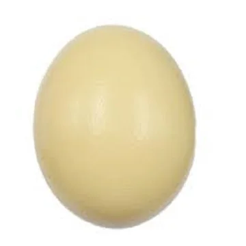 Страусиные яйца/удобрённые страусиные яйца для продажи/Страусиные цыплята